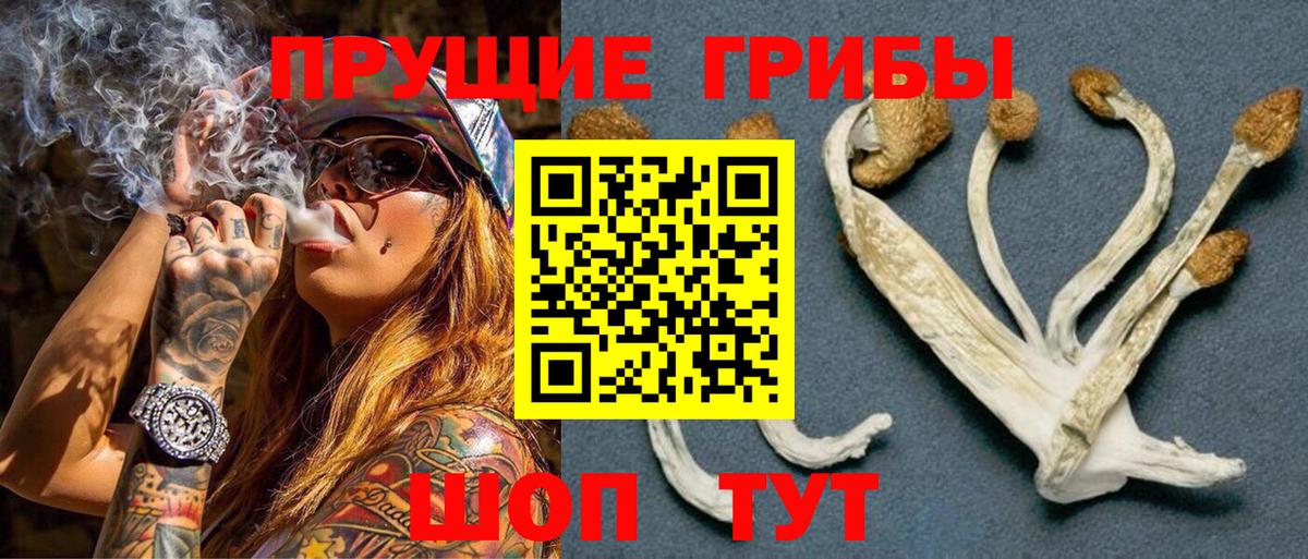 Псилоцибиновые грибы Magic Shrooms  Псилоцибиновые грибы мицелий  Вход с VPN  Псков 
