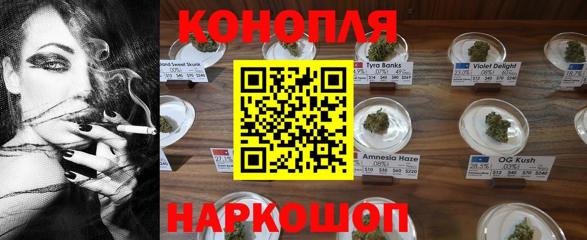 МАРИХУАНА планчик Псков